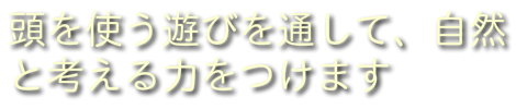 頭を使う遊びを通して、自然と考える力をつけます